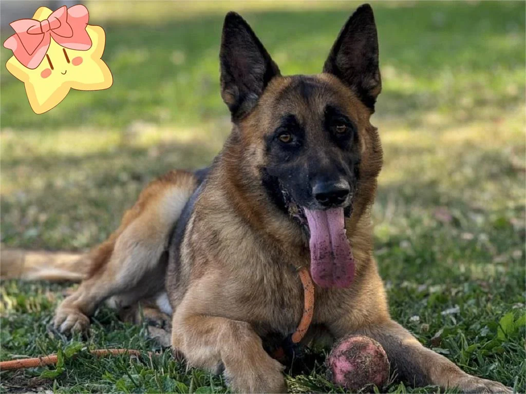 #