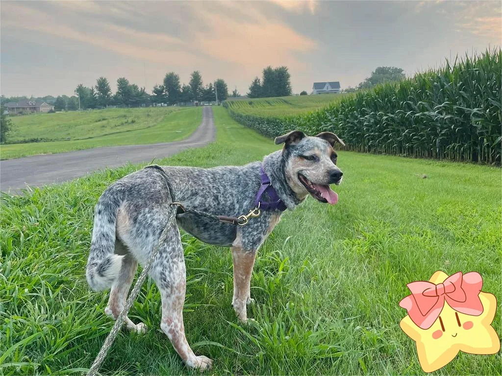 #