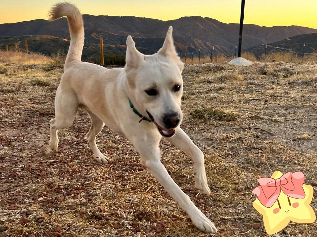 #