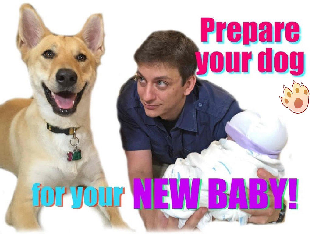 Dog dental care illustration