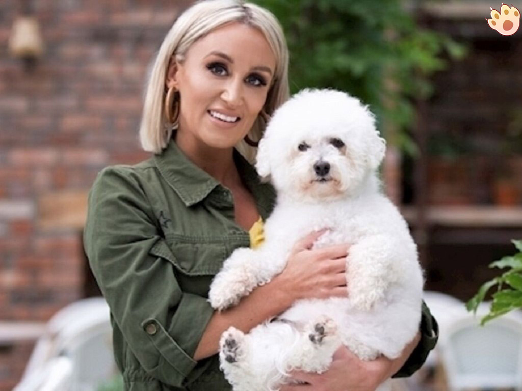 Dog dental care illustration