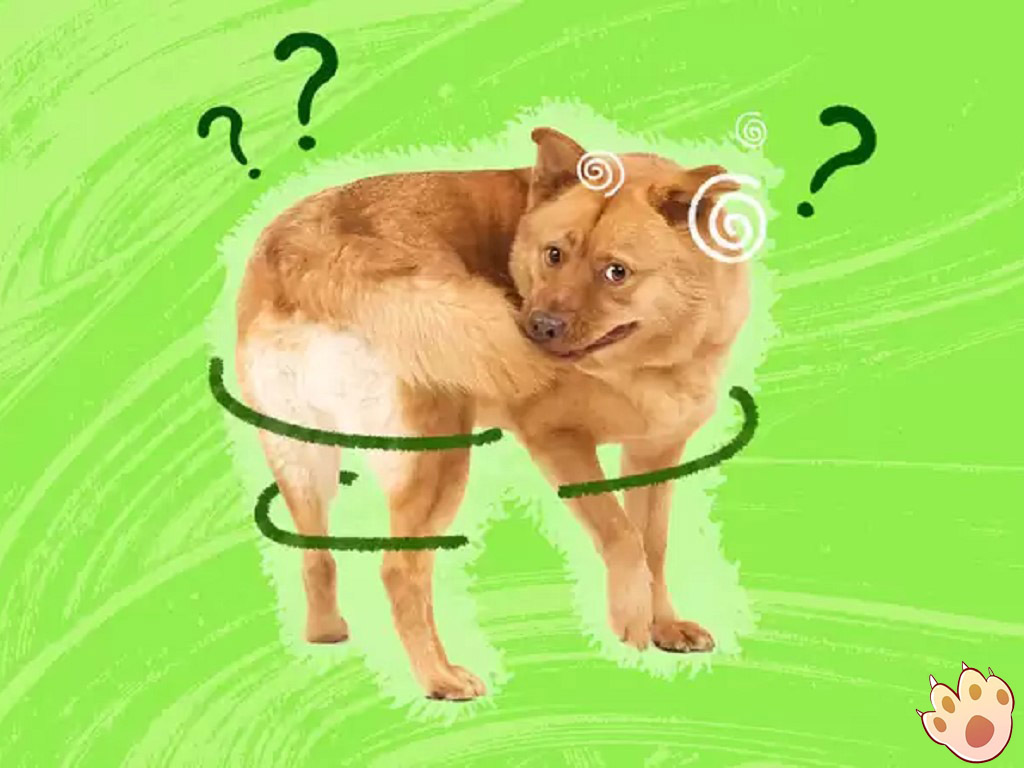 Dog dental care illustration