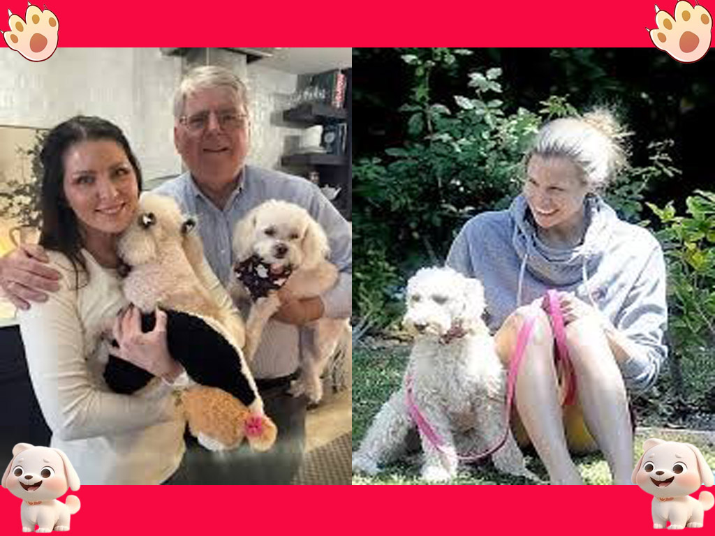 Dog dental care illustration