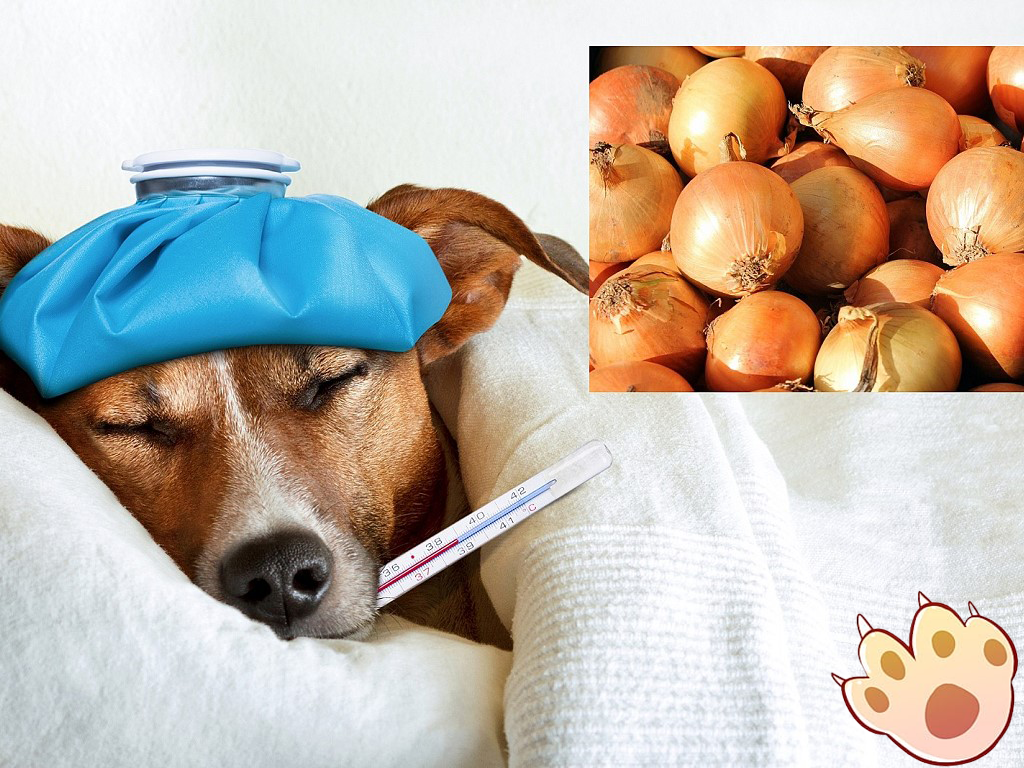 Dog dental care illustration