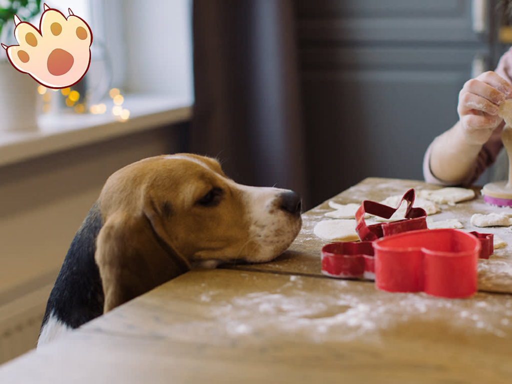 Dog dental care illustration