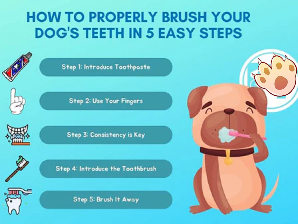 Dog dental care illustration