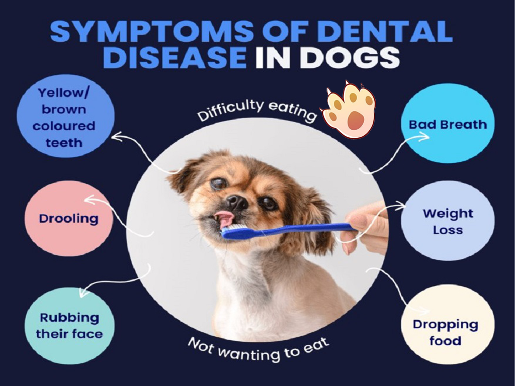 Dog dental care illustration