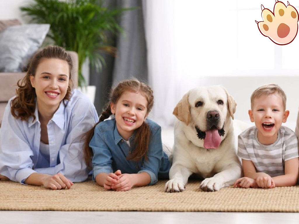 Dog dental care illustration