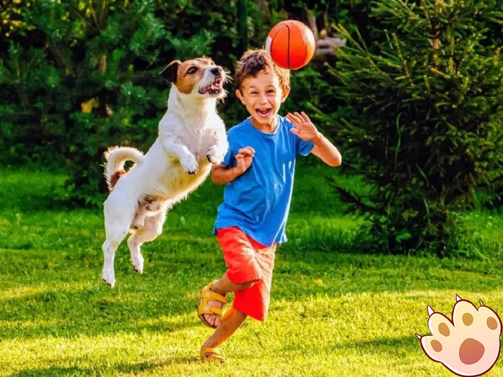Dog dental care illustration