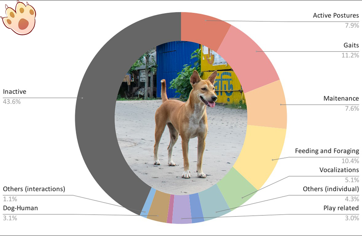 Dog dental care illustration
