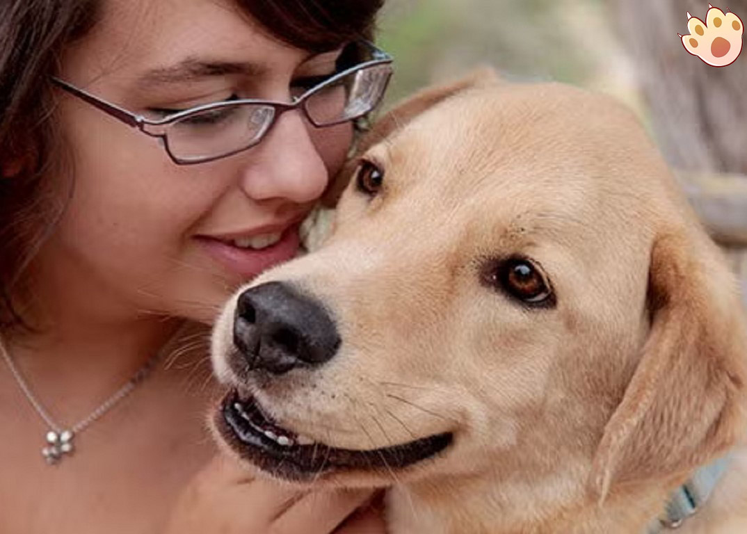 Dog dental care illustration