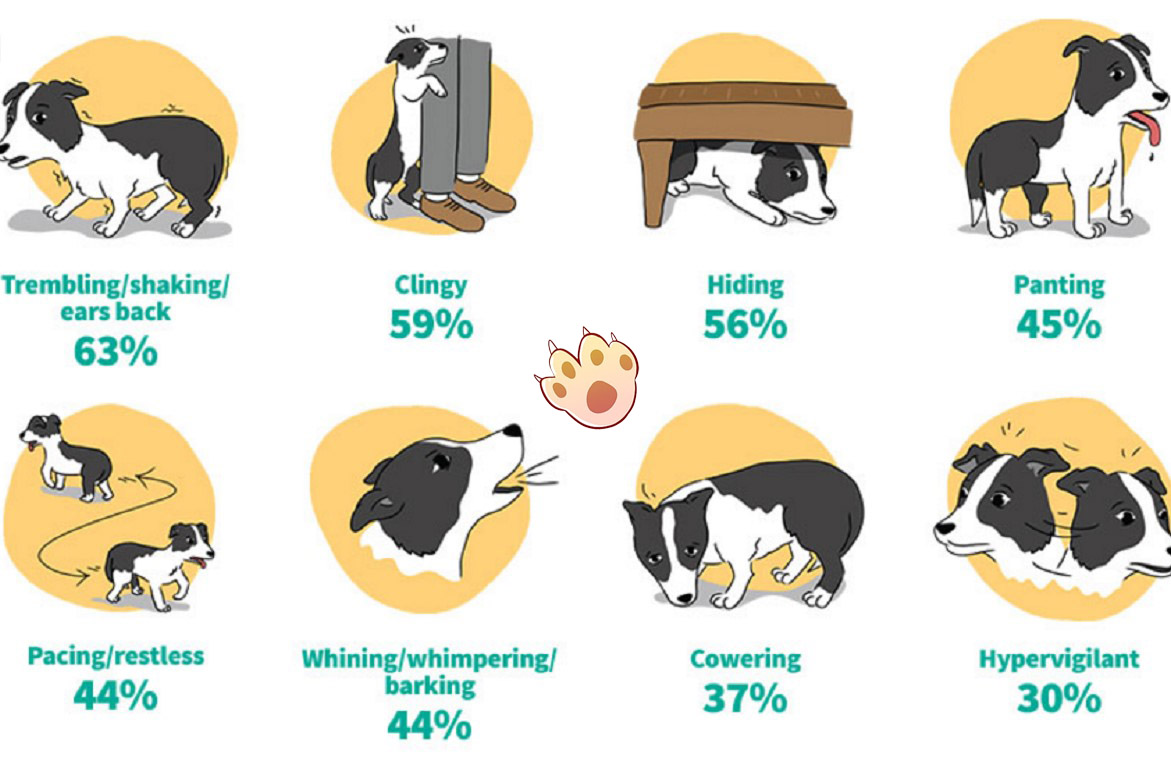 Dog dental care illustration