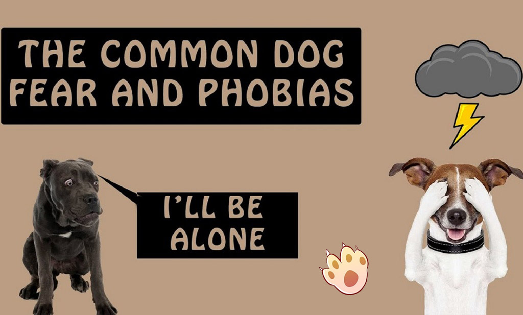 Dog dental care illustration