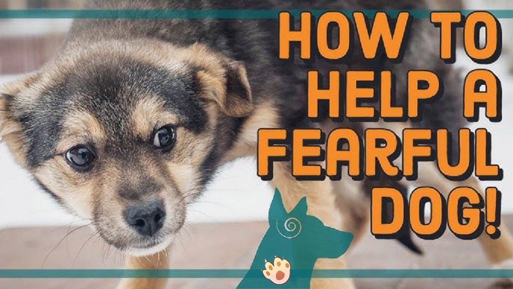 Dog dental care illustration