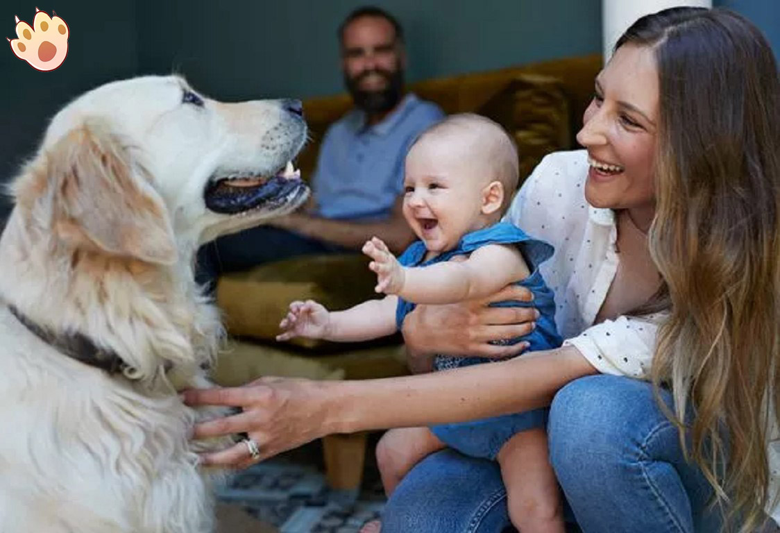 Dog dental care illustration