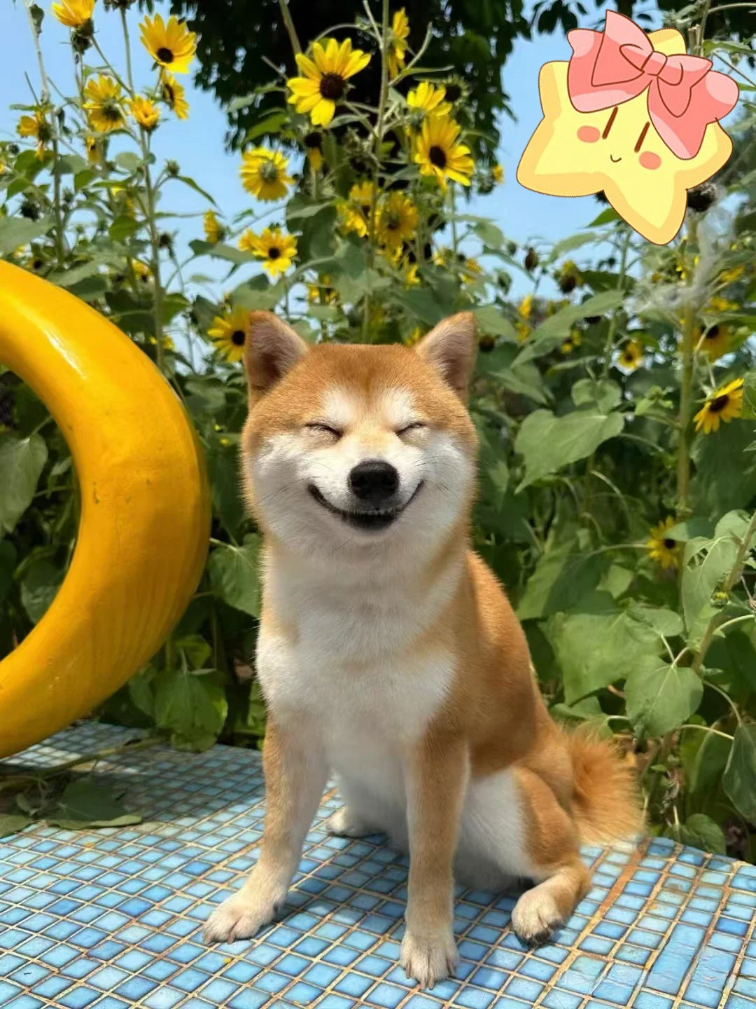 #