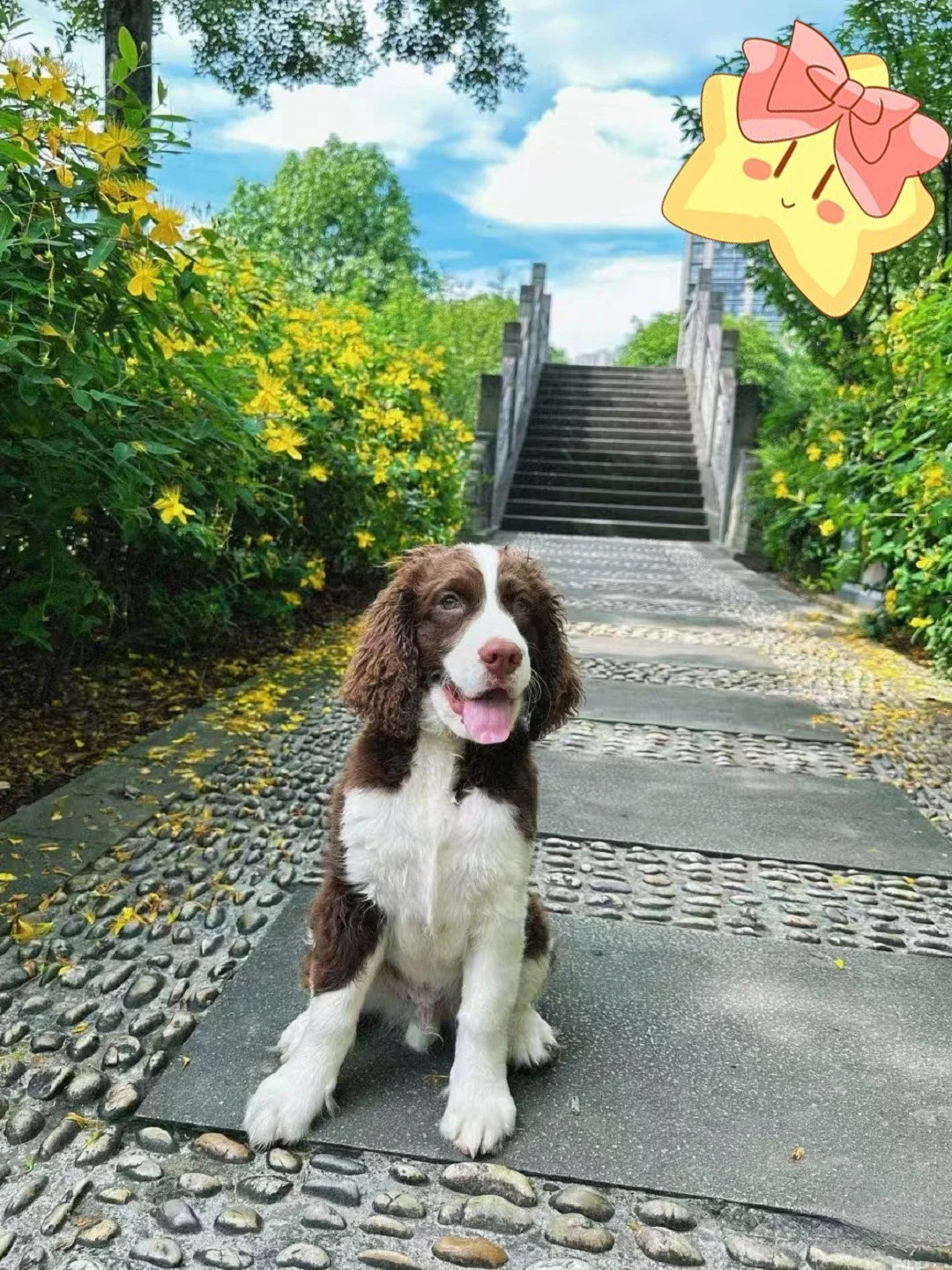 #