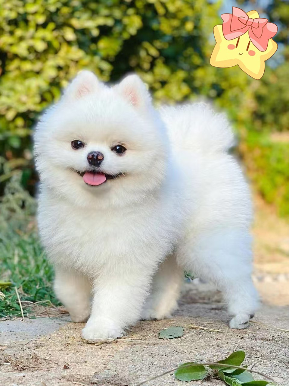 #