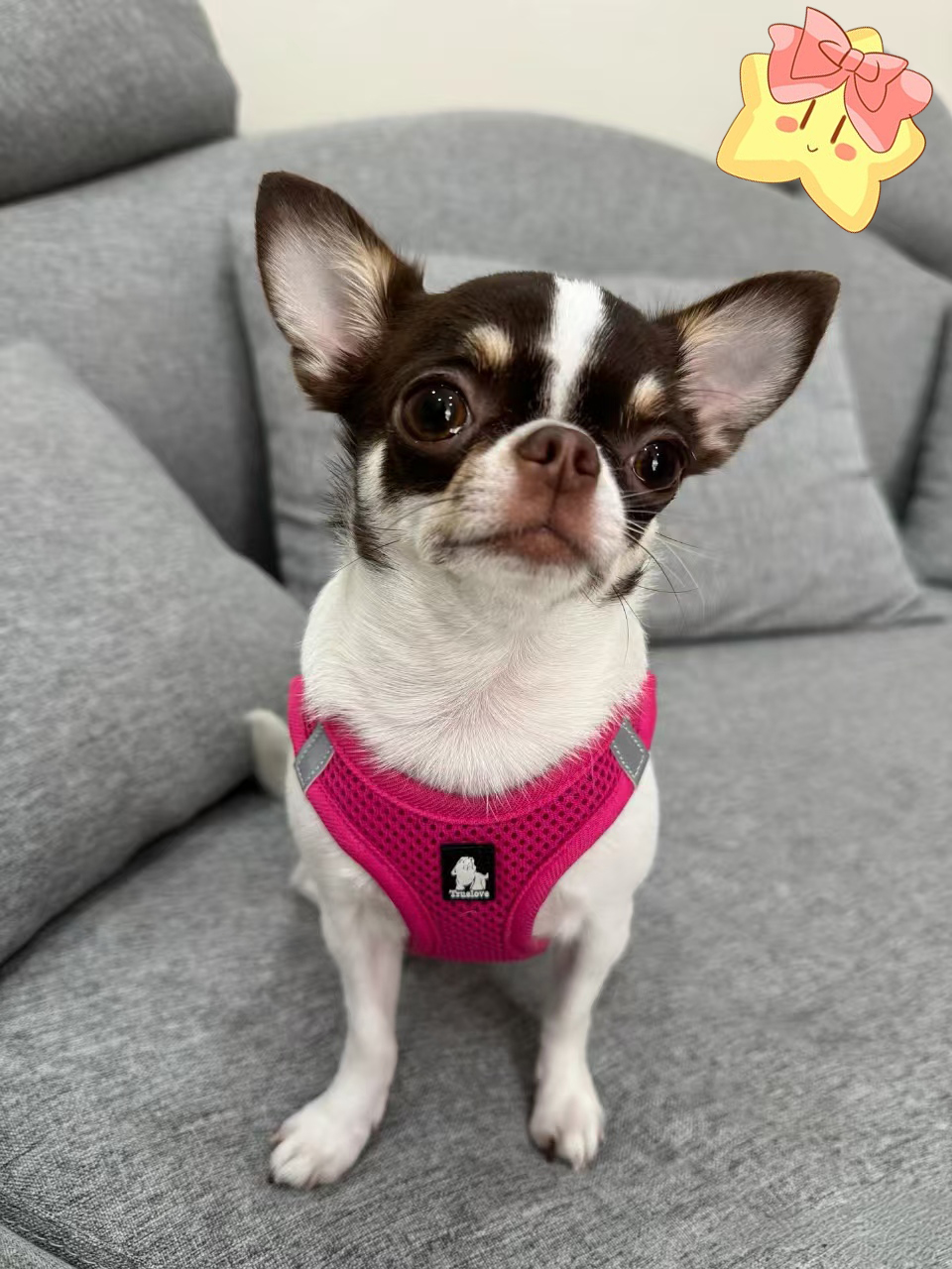 #