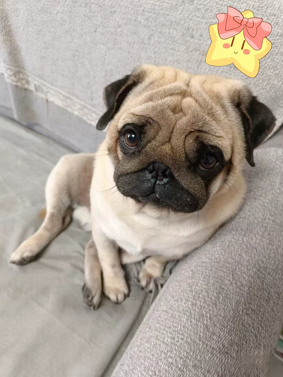 #